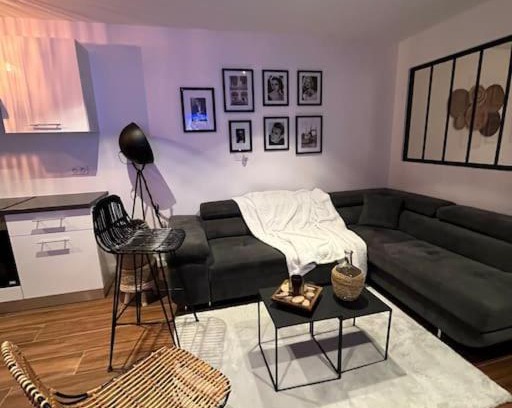 Bron Apartment | Cozy Jolie T2 with Family and Pet-Friendly Amenities