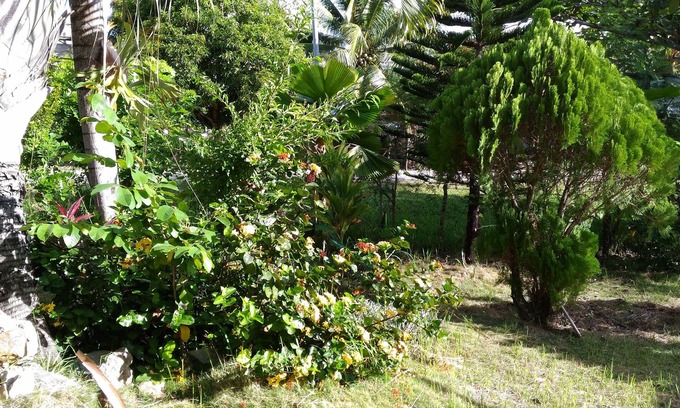Milagros Hotel | Budget-Friendly Stay at Jomajean Garden with Breakfast