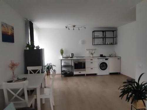 Panevezys county Apartment | Pet-Friendly JOREDA Apartamentai with High Guest Ratings!