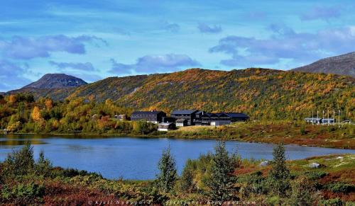 Boverdalen Hotel | Discover Jotunheimen Fjellstue: Pet-Friendly Retreat
