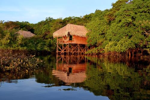 Careiro da Varzea Hotel | Explore Juma Amazon Lodge: 4-Star Oasis with Pool & Ocean View