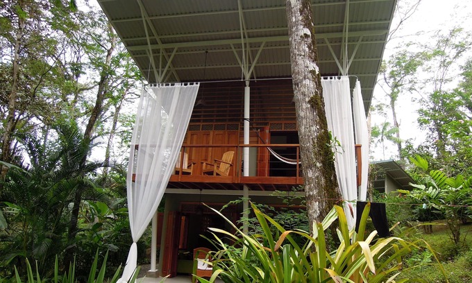 Chiguata Villa | Discover Jungle Paradise: Oceanfront Stay Near the Beach