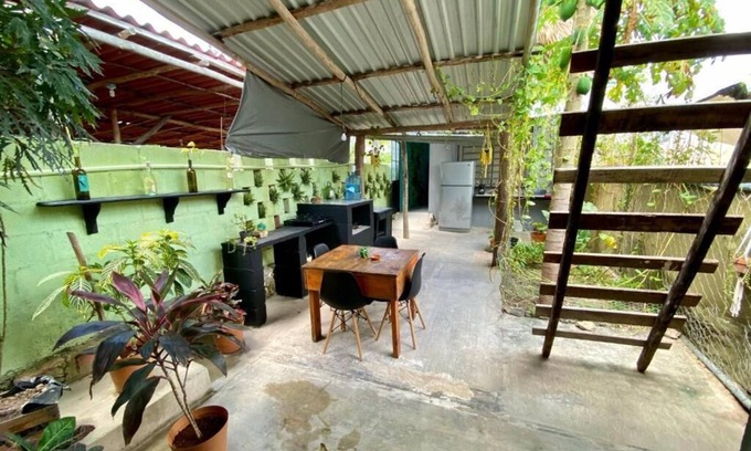 Bacalar Hotel | Discover Jungla Bacalar: Pet-Friendly Oasis with Spa