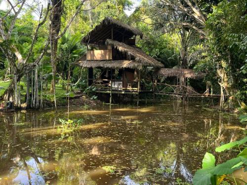 Puerto Narino Other | Jungle Cabin - Satorilodge