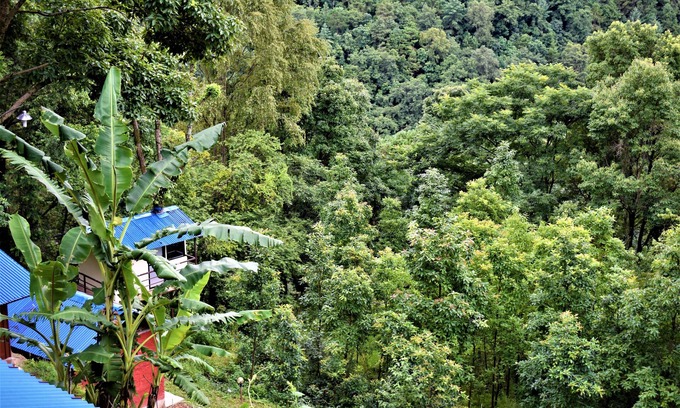 Nagarkot Hotel | Eco-Friendly Escape at Jungle Crown Organic Homestay