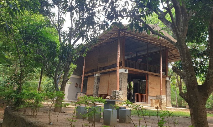 Udawalawa Cabin | Explore Jungle House Udawalawe: Family-Friendly Retreat