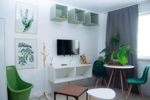 Navodari Apartment | Jungle & Orange Box - Studio - Navodari