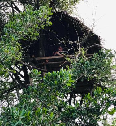Anuradhapura Other | Relax in Jungle Tree Hut: Rated 10/10 & Pet Friendly!