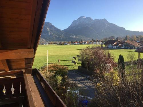 Waltenhofen Apartment | Königlicher Schloss- und Alpenblick