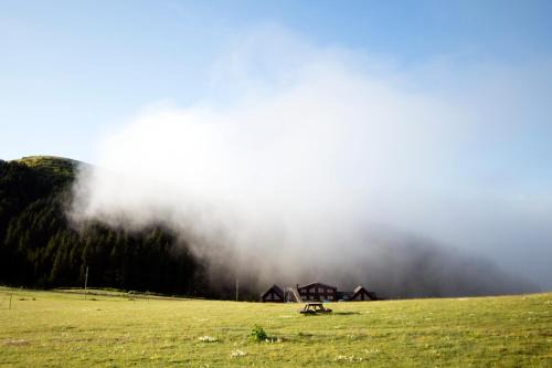 Kumbet Koyu Ski Chalet | Discover Birun Kumbet Dag Evi: Pet-Friendly & Oceanfront Escape