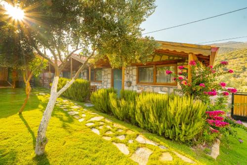 Kas Other | Experience Kaş Joy Glamping: Oceanfront with Top Amenities