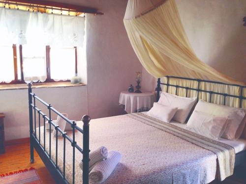 Arkoi Hotel | Pet-Friendly Escape at Kaiti's House for Families