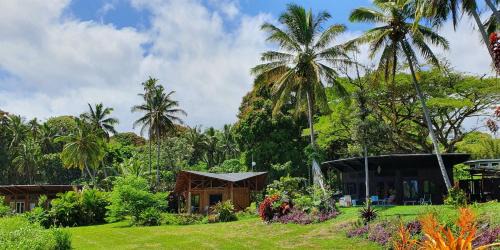 Pahoa Cabin | Relaxing Kalani Oceanside Retreat with Pool & Spa Amenities