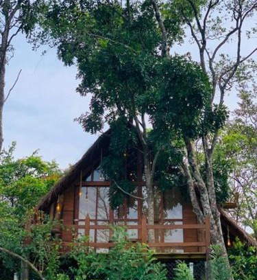 Imbulpe Hotel | Belihuloya’s Kale Cottage: Pet-Friendly & Highly Rated Stay