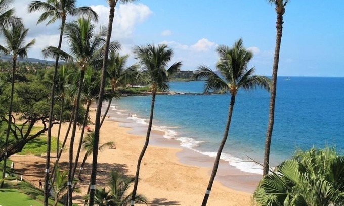 Kihei Condo | Oceanfront 2 Bedroom Condo at Kamaole Nalu, #604