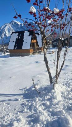Kazbegi Villa | kamara kotteges
