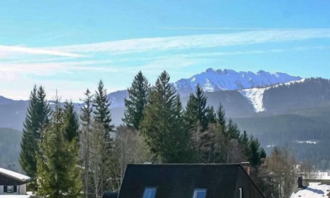 Bad Mitterndorf Apartment | Pet-Friendly Kammspitze: Lake View with Spa & Breakfast
