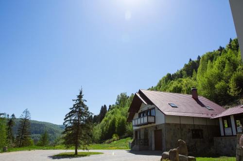 Yaremche House | Discover Kamyanka: Pet-Friendly Stay with 9.5/10 Rating