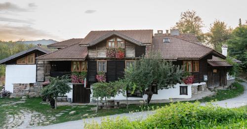 Elena House | Explore Kandaphery Guest Houses: Pet Friendly & Family-Focused