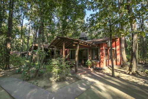 Mocha Cabin | Experience Nature at Kanha Jungle Lodge - Rated 9.3/10