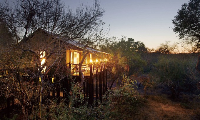 Thorny Bush Game Reserve Other | Experience Kapama Buffalo Camp: 5-Star Comfort Awaits