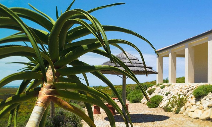 Pringle Bay House | Discover Kapensis Guesthouse: Ocean View & Spa Retreat