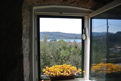 Kaprije Apartment | Oceanfront Kaprije Mistral Apartment - Guest Rated 9.8/10
