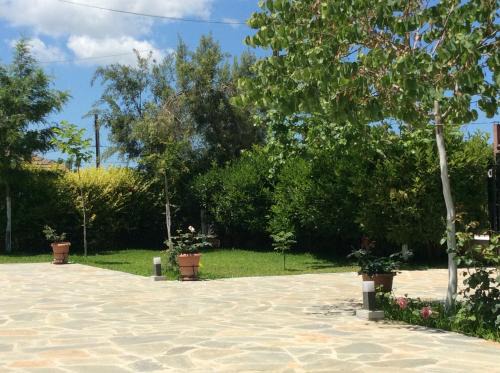 Pineios Apartment | Discover Kardiakafti Village: Pet and Child Friendly Retreat