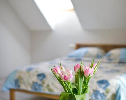 Karkle House | Oceanfront Karklės Villa: Guest Rated 9/10 with Hot Tub
