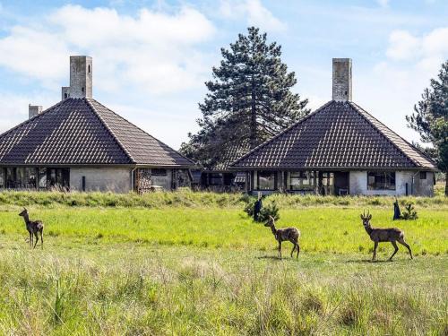 Karrebksminde House | Family-Friendly Holiday Home in Karrebæksminde