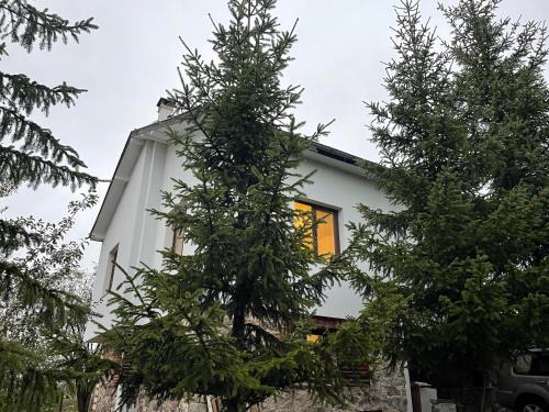 Ravnogor House | Pet-Friendly Retreat at Kassandrov Guest House Ravnogor