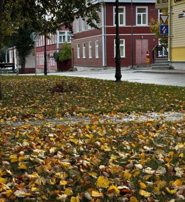 Voru Apartment | Discover Katariina Allee: Pet & Child Friendly Retreat