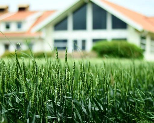 Vessigebro House | Family-Friendly Katrinebergs Folkhögskola B&B with Great Reviews