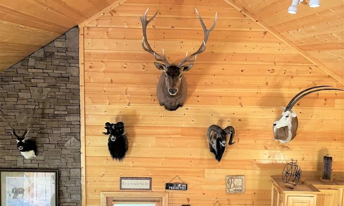 Ellijay Cabin | Discover Kayaks, River Tubes & Antique Decor Retreat