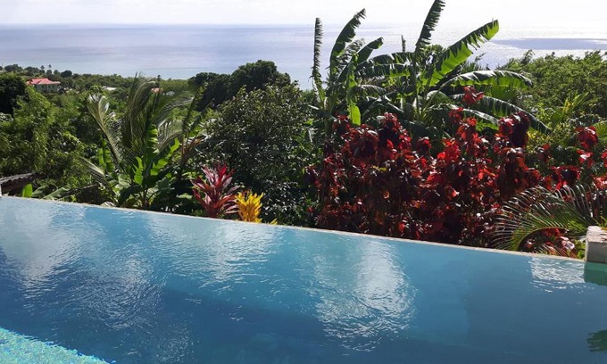 Choiseul House | Discover Kaye Mango: Oceanfront Paradise with Pool Access