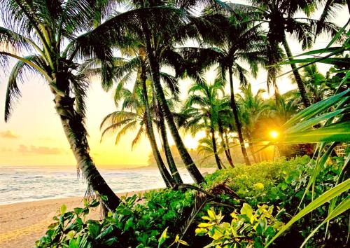 Kamuela Apartment | Experience KBM Resorts: Islands at Mauna Lani with Pool