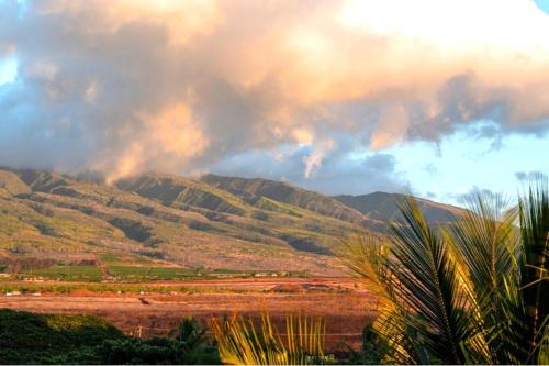 Kaanapali Apartment | KBM Resorts Spacious 3-Bedroom Honua Kai Collection Multi Unit Listing Same Floor Ocean Views 2 Free Rental Cars HKH-51645