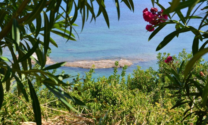Leivathos Apartment | Idyllic Kefalonia Studios with Pool & Breakfast in Orchard