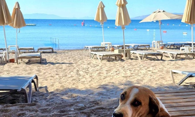 Ortakent Hotel | Discover Kefi Beach and Suites with Ocean Views & Dining