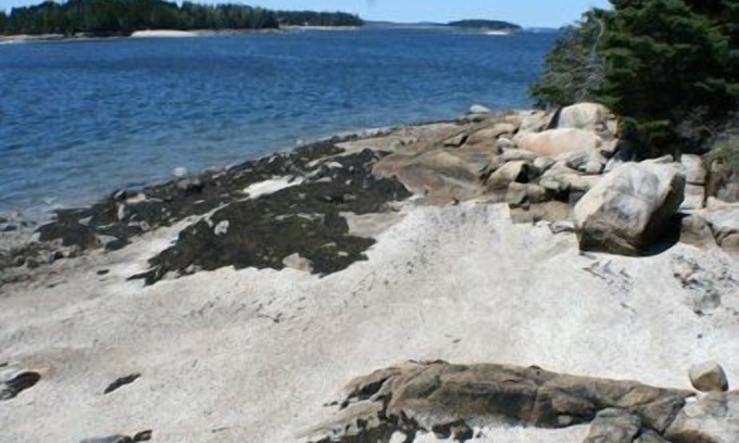 Brooklin House | Experience Kelly Point: Harmony with Nature & Ocean Views