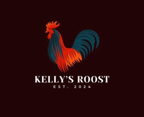 Ballyclare Apartment | Kelly's Roost