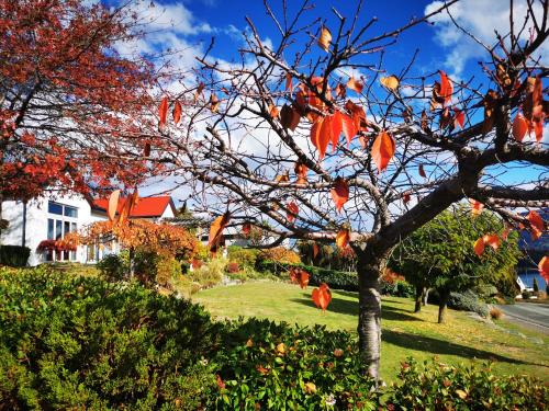 Kelvin Heights House | Relaxing Kelvin Garden Villa with Hot Tub & 9/10 Rating