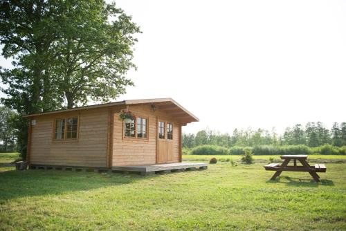 Nica Other | Discover Kempings Pabērzi: Pet-Friendly Oceanfront Retreat
