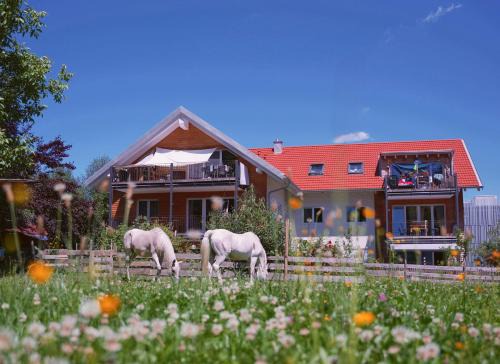 Kempten Apartment | Experience Kempten's Unique Bauernhof-Flair Getaway