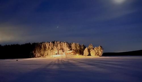 Sonka Other | Experience Kenttäniemi Cottages with Oceanfront Bliss