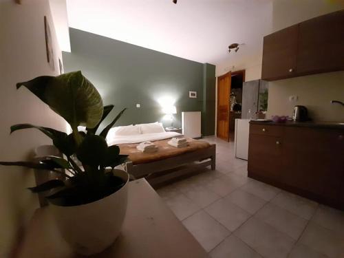 Kalavrita Apartment | Discover KERAMIDAKI MINI SUITES: Pet-Friendly Retreat