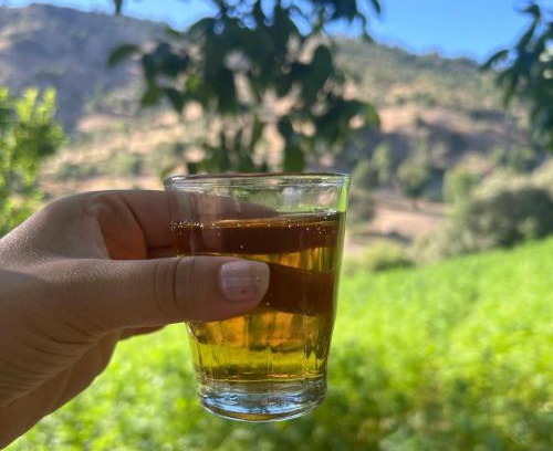 Ketama Apartment | Pet-Friendly Getaway at Ketama Rif for Families