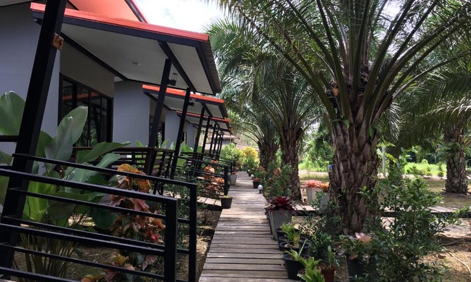 Khlong Sok Resort | Family-Friendly Khao Sok Residence Resort Awaits You