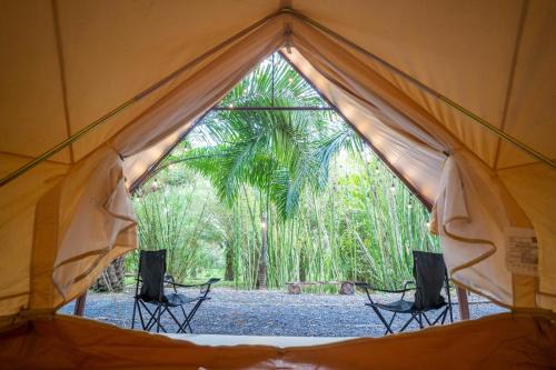 Thai Mueang Other | Pet-Friendly Khao Lak Camping with 8.7/10 Review Score