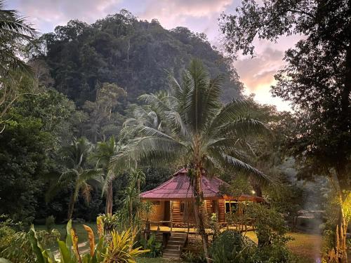 Khlong Sok Resort | Experience Khaosok Monkeys & River Camps with Spa and Hot Tub